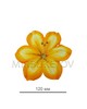 Пресс цветок лимонный ландыш атлас E1, диаметр 120 мм, в упаковке 100 штук
