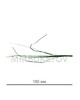 Добавка-травка зеленая, высота 180 мм , 3 штуки на ветке