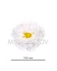 Кудрявая белая роза M022, диаметр 100 мм, 7 шт на букете.