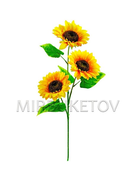 Подсолнух цветок на короткой ножке №515031 - купить в Украине на Crafta.ua