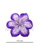 Пресс цветок гербера фиолетовая атлас E3