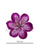 Пресс цветок гербера сиреневая атлас E3
