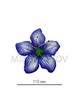 Пресс цветок фиолетовая кувшинка атлас E5