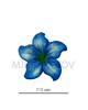 Пресс цветок голубая кувшинка атлас E5