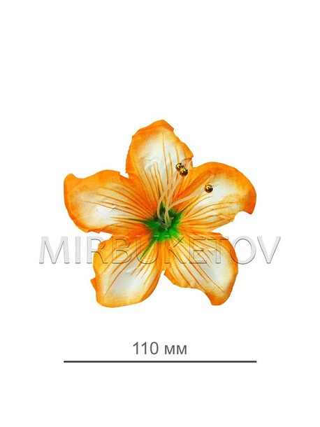 Пресс цветок желтая кувшинка атлас E5