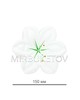 Пресс цветок белая лилия атлас E7