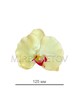 Штучні квіти Орхідея метелик, шовк, 125 мм