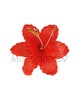 Красный цветок гладиолуса с тычинкой бусинкой