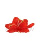 Красный цветок гладиолуса с тычинкой бусинкой
