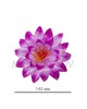 Искусственные цветы Крокус тройной, атлас, 140 мм