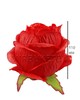Роза бутон красный атласный пышный гигант F31