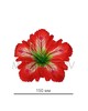 Штучний Прес квітка Лілія, атлас, 150 мм