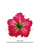 Пресс цветок коралловая лилия атлас E14