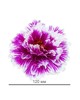 Штучні квіти Хризантема, атлас, 120 мм