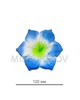 Штучні Прес квіти Мальва кутова, шовк, 120 мм