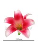 Искусственные цветы Лилия латексная, 150 мм