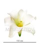 Лилия латексная белая, 150 мм, Latex002