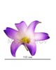Лилия латексная фиолетовая, 150 мм, Latex002