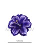 Пресс цветок Лилия атласная фиолетовая, 120 мм, E10