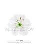 Пресс цветок Лилия атласная белая, 120 мм, E10