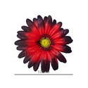 Искусственные цветы Ромашки, атлас, 130 мм