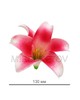 Штучні квіти Лілія латексна, 130 мм