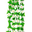 Ліана Ромашка біла з листом, 200 см