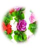 Лиана Роза с листом, 200 мм, Ln005