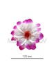 Искусственный цветок Крокуса сиреневый с белым, 120 мм, E74