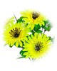 Штучні квіти Букет Гербери, 9 голів, 450 мм