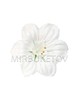 Пресс-цветок со вставкой Гербера, атлас, 150 мм, E3+