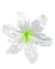 Лилия атласная с тычинкой, 200 мм, A102