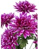 Штучні квіти Букет Жоржини гострокутної, 7 голів, 480 мм