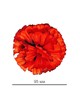 Искусственные цветы Гвоздика, шелк, микс расцветок, 95 мм