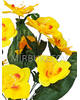 Штучні квіти Букет Орхідеї, 12 голів, 510 мм