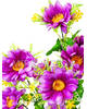 Штучні квіти Букет Мальтійської Ромашки, 11 голів, 590 мм