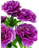 Штучні квіти Букет Піона, 7 голів, 430 мм