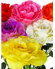 Штучні квіти Преміум Троянда на ніжці, 750 мм