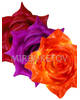 Искусственные цветы Роза Великан, атлас, микс, 210 мм