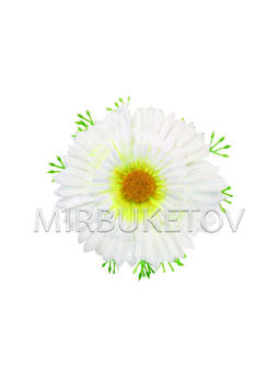 Штучні квіти Гербера, шовк, біла з міксом, 105 мм