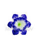Штучні Прес квіти з тичинкою Нарцис, атлас, мікс, 120 мм,