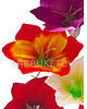 Штучні квіти Лілії, шовк, 190 мм