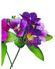 Штучні квіти Бордюрний букет Мальви, 5 голів, мікс, 250 мм