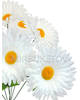Штучні квіти Букет Ромашки білої, 7 голів, 440 мм