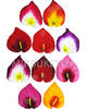 Искусственные цветы Калла, бархат, микс, 90x105 мм