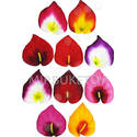 Штучні квіти Калла з тичинкою, оксамит, мікс, 90x105 мм