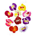 Искусственные цветы Орхидеи, шелк, микс, 80x100 мм