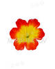 Искусственные пресс цветы с тычинкой Петуния, 120 мм