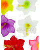 Пресс цветы с тычинкой Гибискус, 90 мм