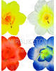 Пресс цветы с тычинкой-бусинкой и вставкой Мальва, 120 мм